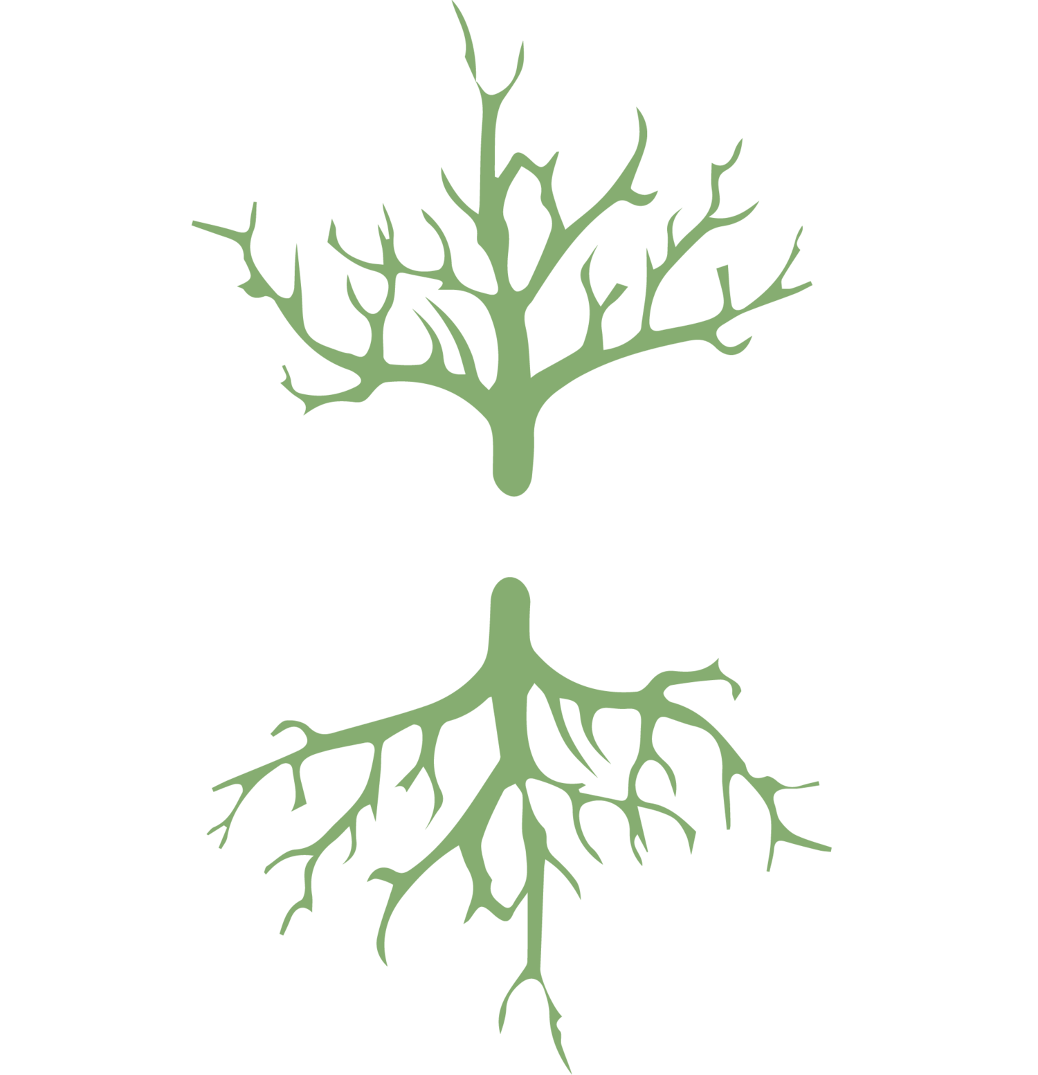 root